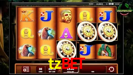 Descubra o Mundo do Cassino Online com tzbet