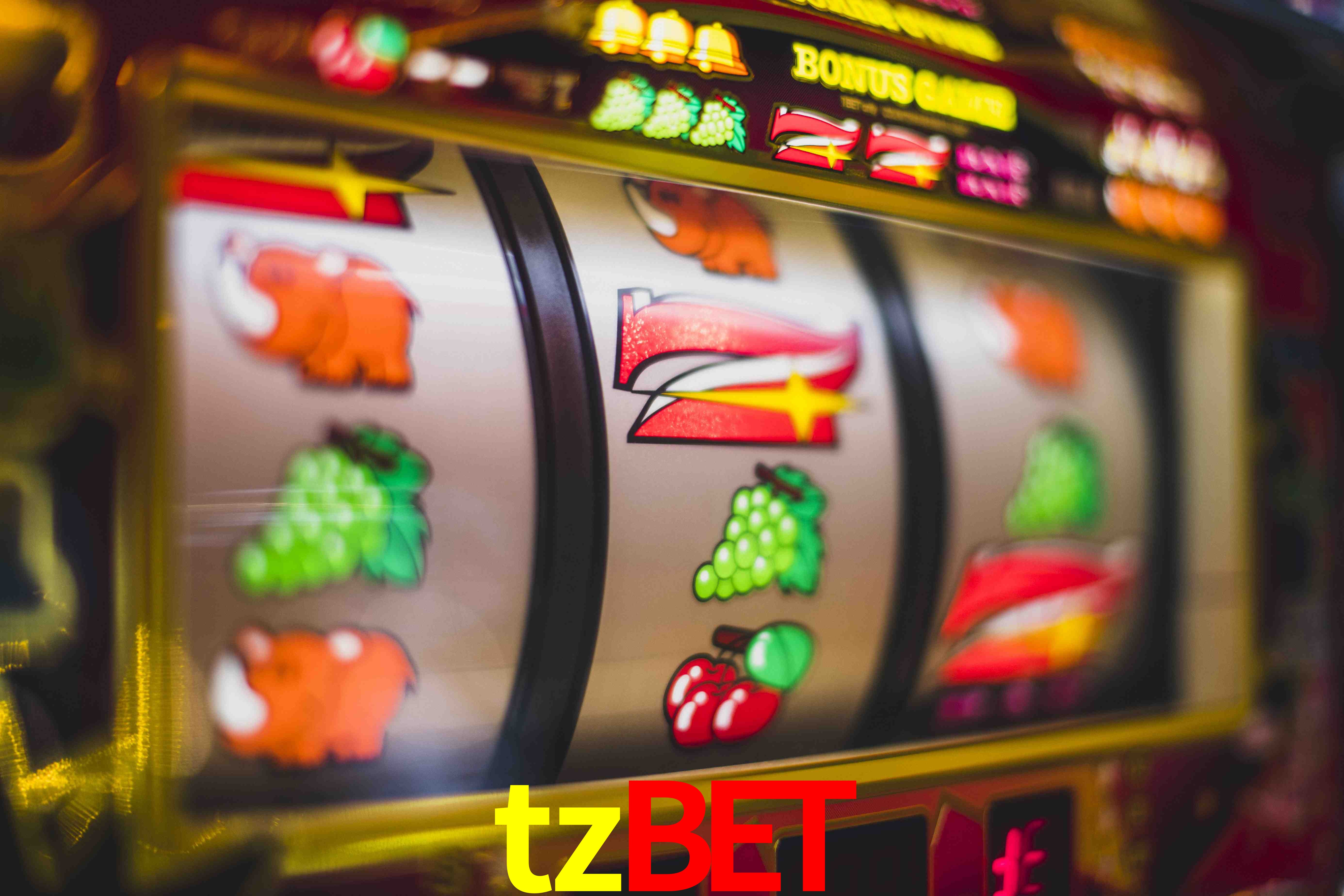 Account Benefits tzbet